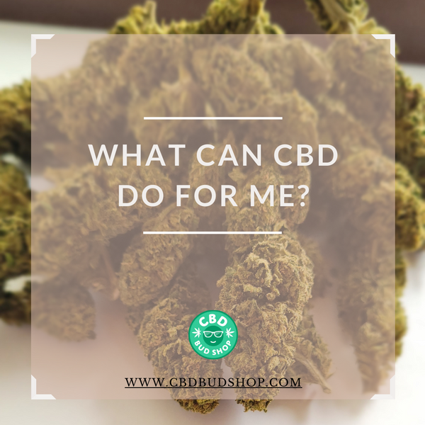 What Can CBD do for me?