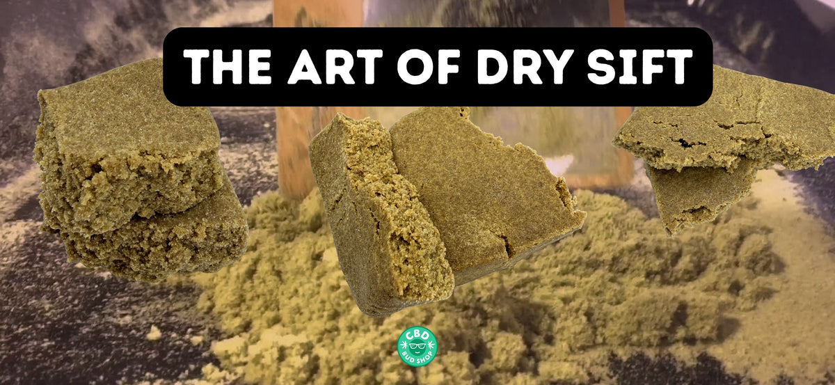 What Is Dry Sift CBD Hash? – cbdbudshop