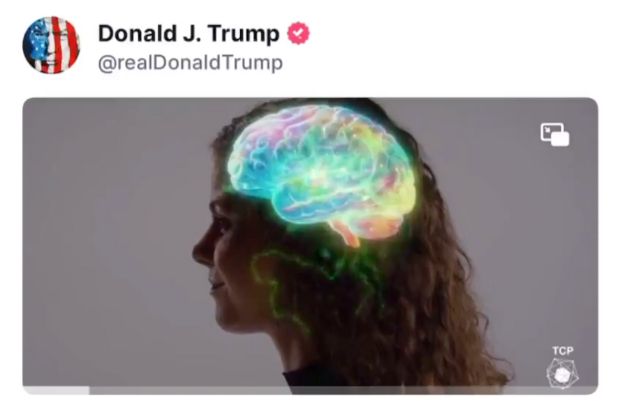 The Trump Effect: Why U.S. Cannabis & Hemp Policy Moves Matter for UK CBD Bud