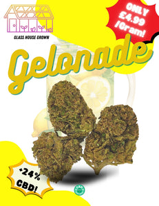 Gelonade - Premium CBD Bud (>22% CBD  <0.2% THC)