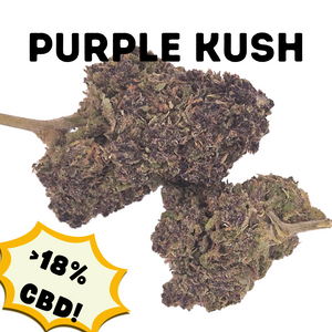 Purple Kush - Premium CBD Bud (>20% CBD  <0.2% THC)