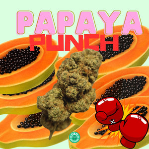Papaya Punch - (super premium) Loose Hemp Flower Tea (>20% CBD) (<0.2% THC)