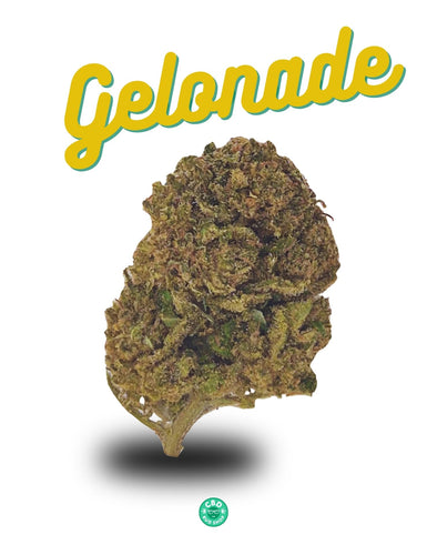 Gelonade - Premium CBD Bud (>22% CBD  <0.2% THC)