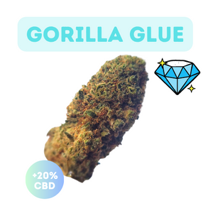 Gorilla Glue (super premium) Loose Hemp Flower Tea (>20% CBD) (<0.2% THC)