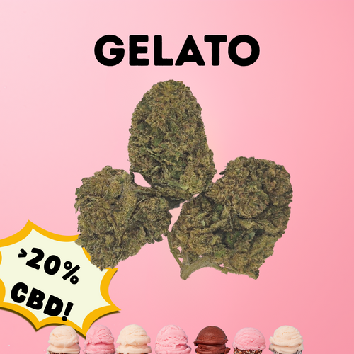 Gelato - Premium CBD Bud (>20% CBD  <0.2% THC)
