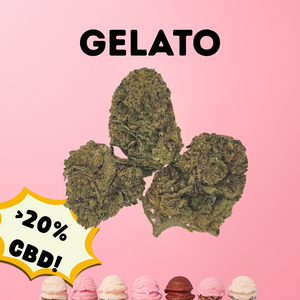 Gelato - Premium CBD Bud (>20% CBD  <0.2% THC)