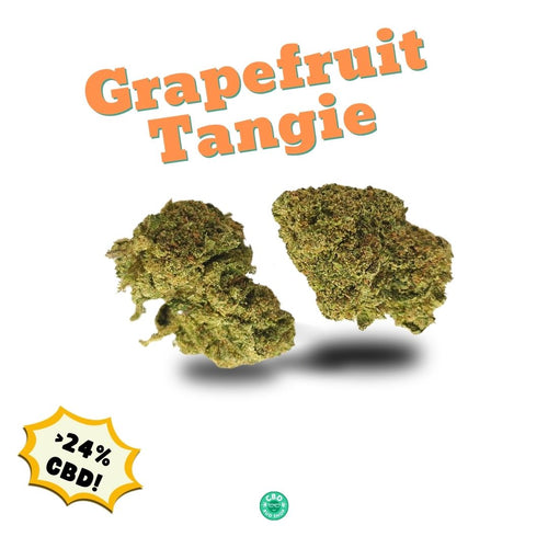 Grapefruit Tangie CBD Flower