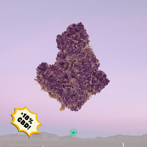 Purple Kush - Premium CBD Bud