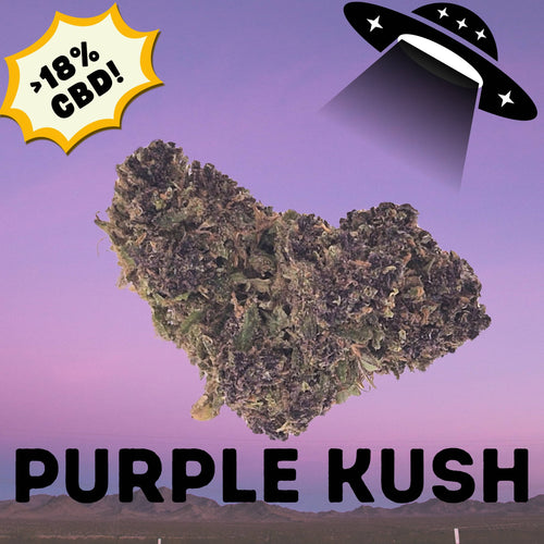 Purple Kush CBD Flower