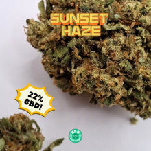 Load image into Gallery viewer, Sunset Haze CBD Flower 22% close-up showing dense resinous buds with orange hairs and bright green colouring