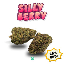 Load image into Gallery viewer, Silly Berry CBD Flower close up frosty trichomes oily resin medium large buds berry terp indoor CBD UK