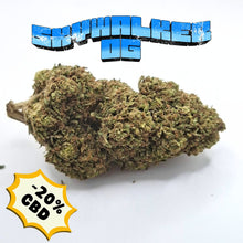Load image into Gallery viewer, Premium Skywalker OG CBD flower from CBD Bud Shop – beautifully cured hemp buds with authentic OG flavour, 20% CBD average and under 0.2% THC