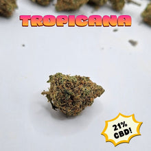 Load image into Gallery viewer, Tropicana CBD Flower