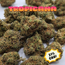 Load image into Gallery viewer, Tropicana CBD Flower
