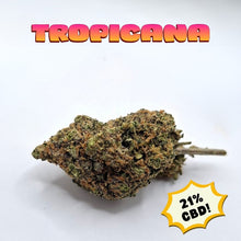 Load image into Gallery viewer, Tropicana CBD Flower