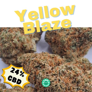 Yellow Blaze CBD Flower