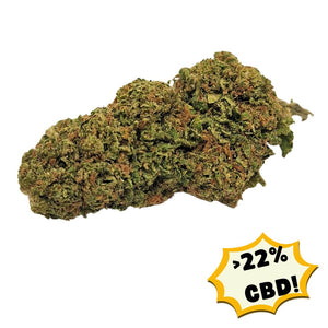 Caramel CBD Flower