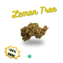 Load image into Gallery viewer, Lemon Tree Kush CBD Flower