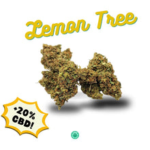 Load image into Gallery viewer, Lemon Tree Kush CBD Flower