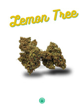 Load image into Gallery viewer, Lemon Tree Kush CBD Flower