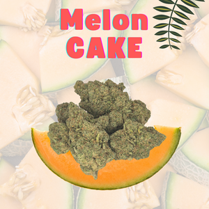 Melon Cake - Premium CBD Bud (>20% CBD, <0.2% THC)