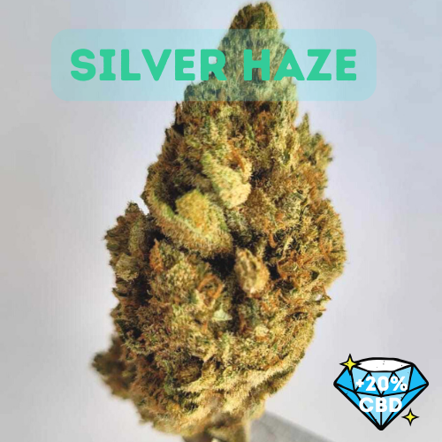 Silver Haze - Super Premium Loose Hemp Tea (CBD>20% THC<0.2%)
