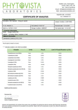 Load image into Gallery viewer, Orange County 3600mg Full Spectrum CBD Capsules - 60 Caps